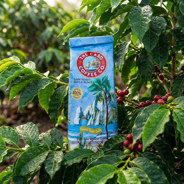 Whole Bean Dark Roast | Cabo Coffee – The Cabo Coffee Company